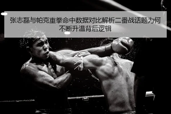 张志磊与帕克重拳命中数据对比解析二番战话题为何不断升温背后逻辑